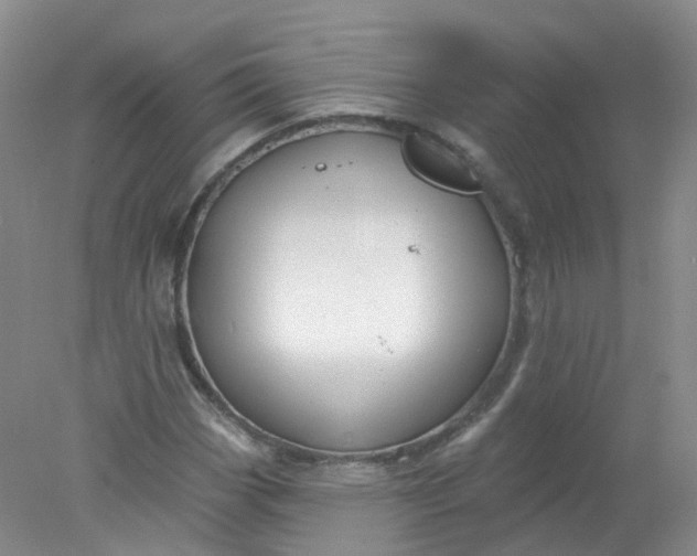 X0000078311113200611172207