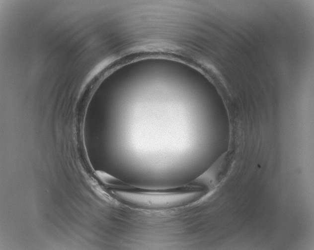 X0000078311114200611172207