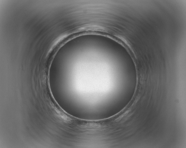 X0000078311115200611172207