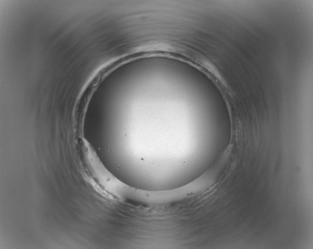 X0000078311116200611172207