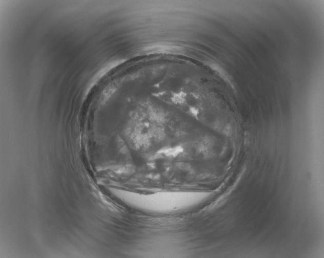 X0000078311117200611172207