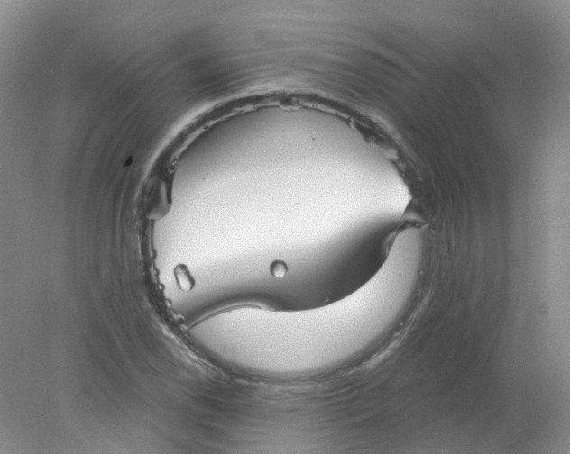 X0000078311118200611172208