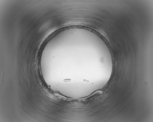 X0000078311119200611172208