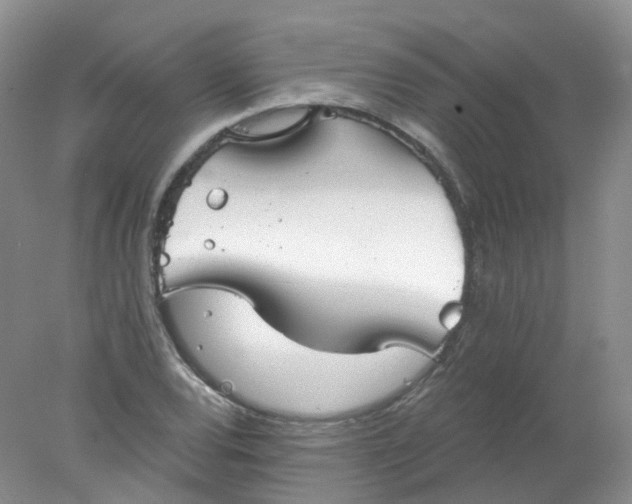 X0000078311120200611172208