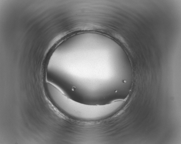 X0000078311122200611172208