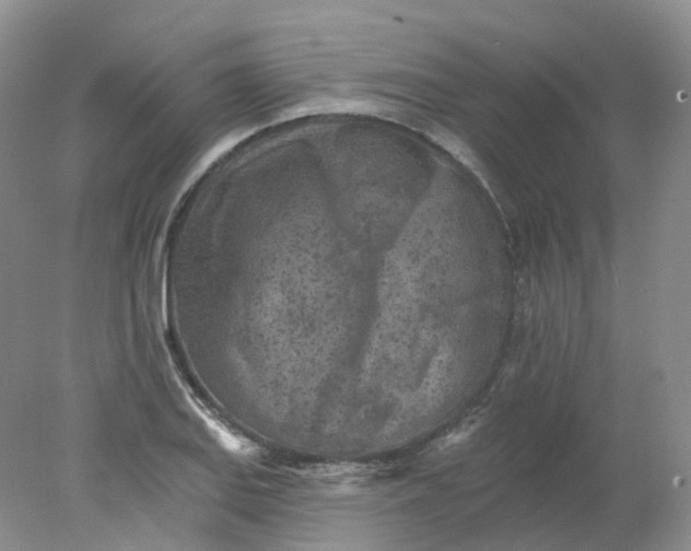 X0000078311127200611172208