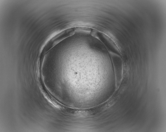 X0000078311128200611172208