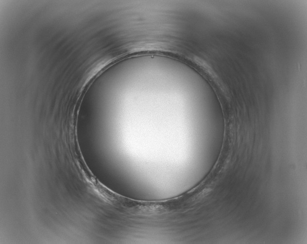 X0000078311129200611172208