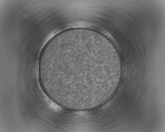 X0000078311130200611172208