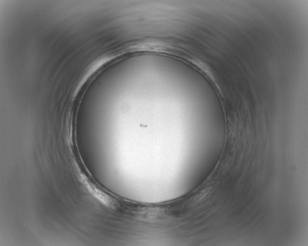 X0000078311131200611172208