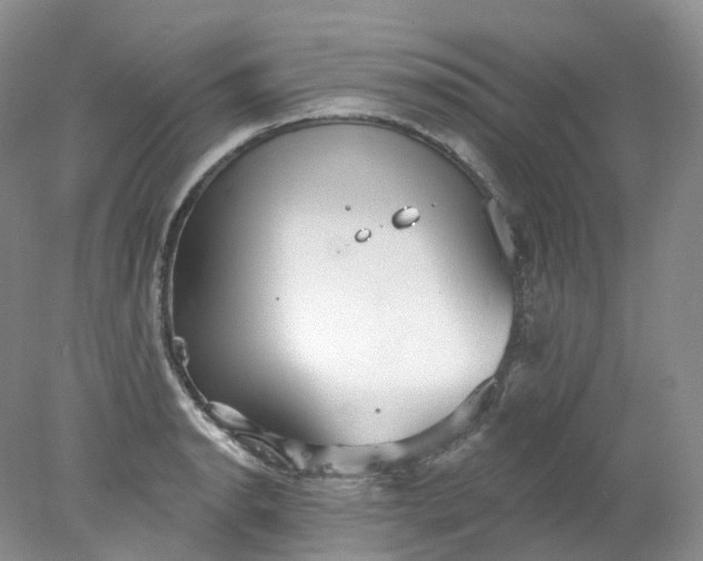 X0000078311134200611172208