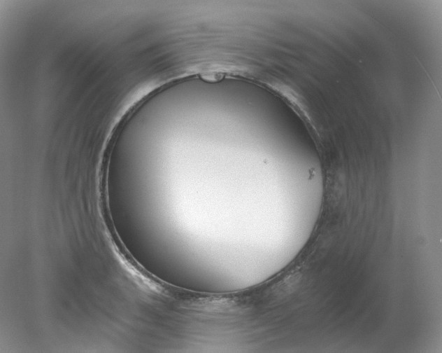 X0000078311135200611172208