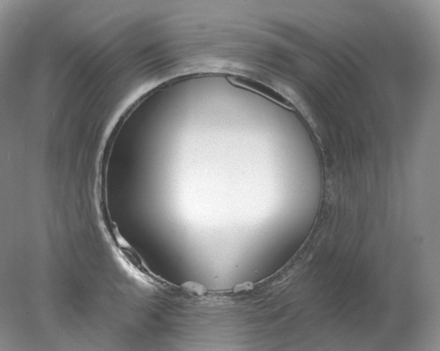 X0000078311136200611172208