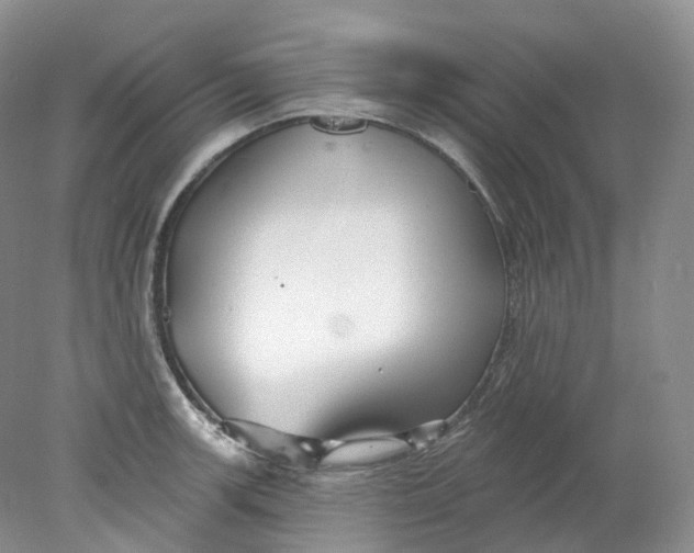 X0000078311139200611172208