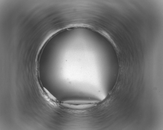 X0000078311140200611172208