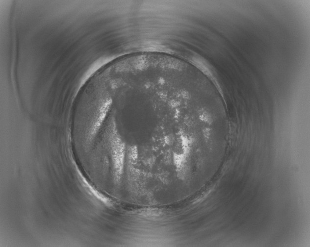 X0000078311141200611172208