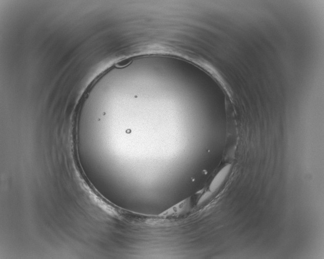 X0000078311142200611172208