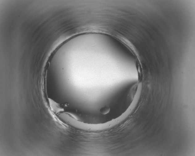 X0000078311144200611172208