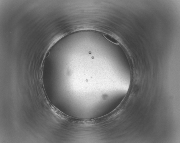 X0000078311145200611172208