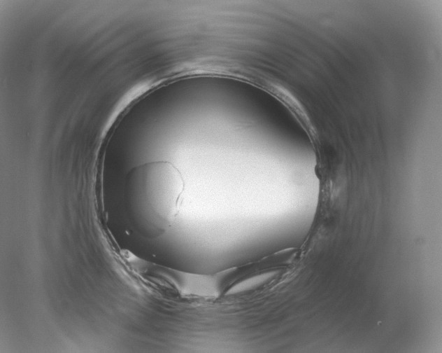 X0000078311146200611172208