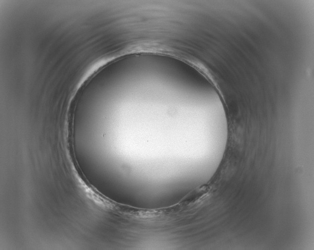 X0000078311147200611172208