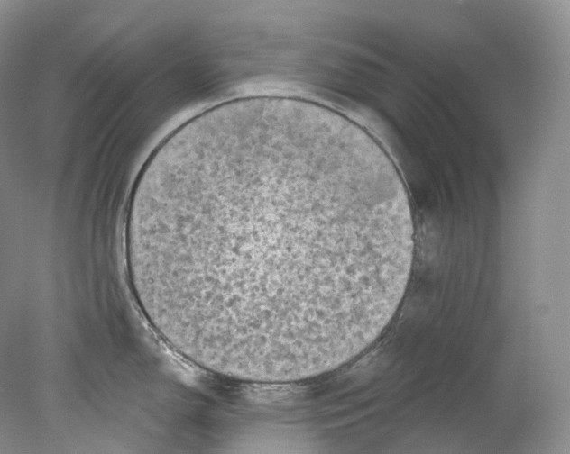 X0000078311150200611172208