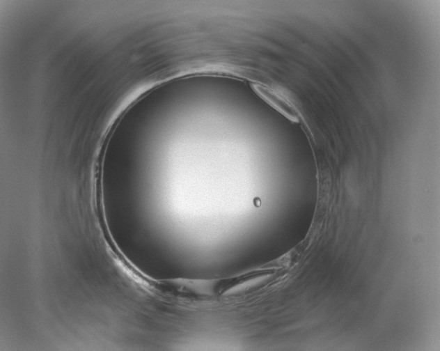 X0000078311151200611172208