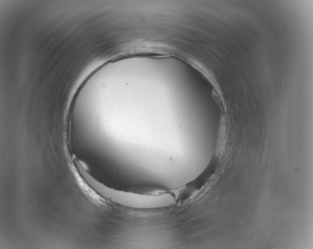 X0000078311152200611172208