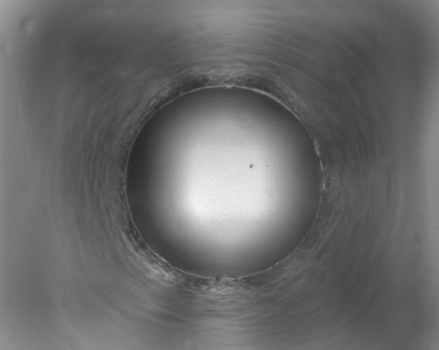 X0000078311153200611172207