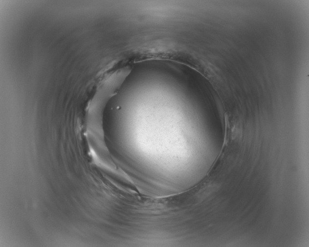 X0000078311156200611172207