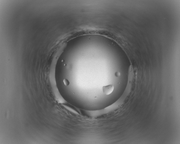 X0000078311157200611172207