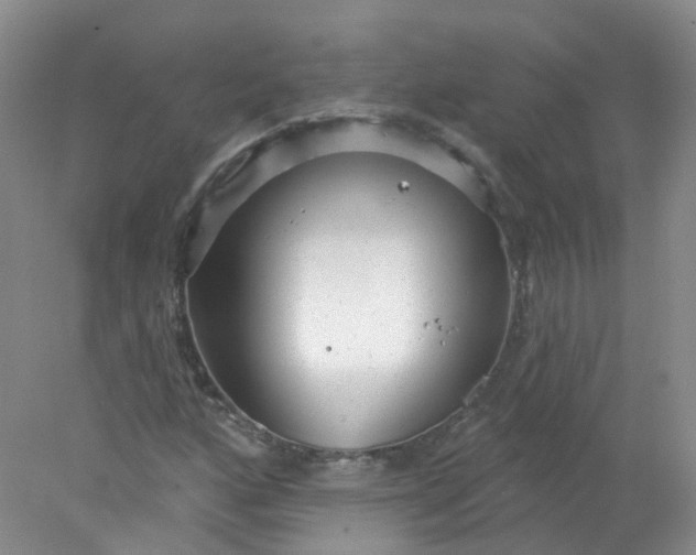 X0000078311160200611172207