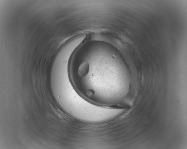 X0000078311161200611172207