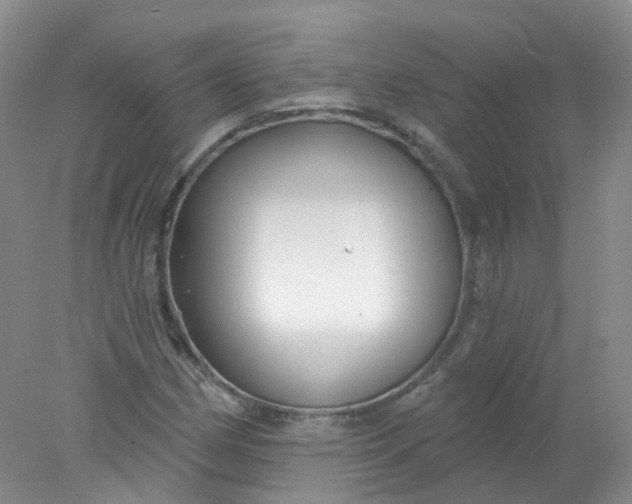 X0000078311162200611172207