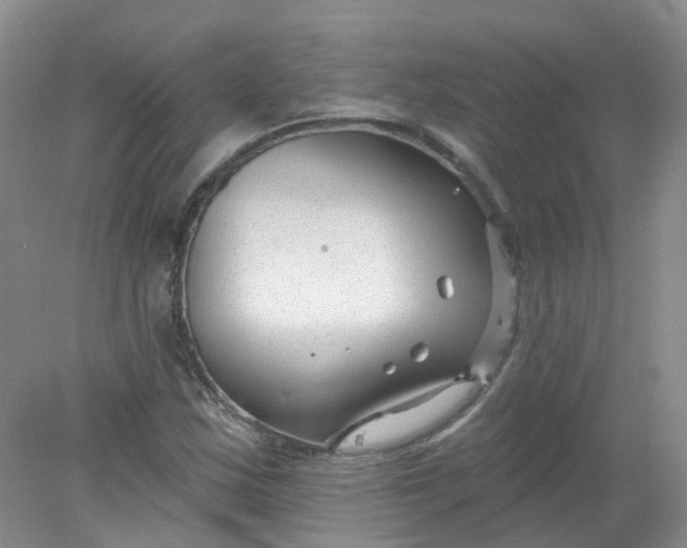 X0000078311163200611172207