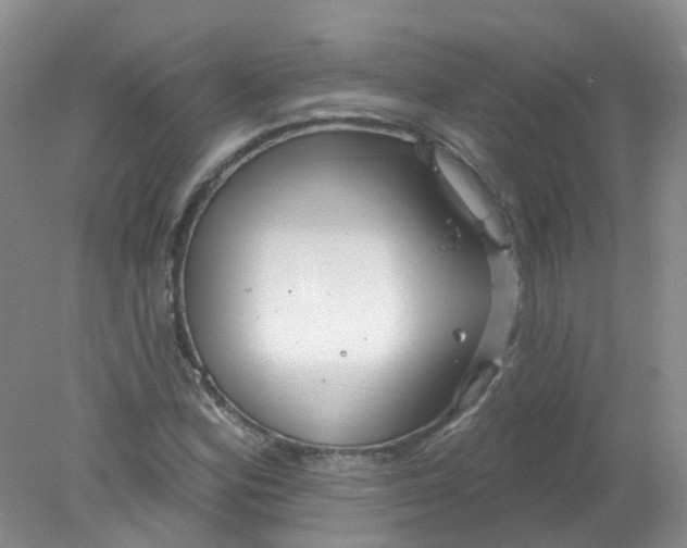 X0000078311164200611172207