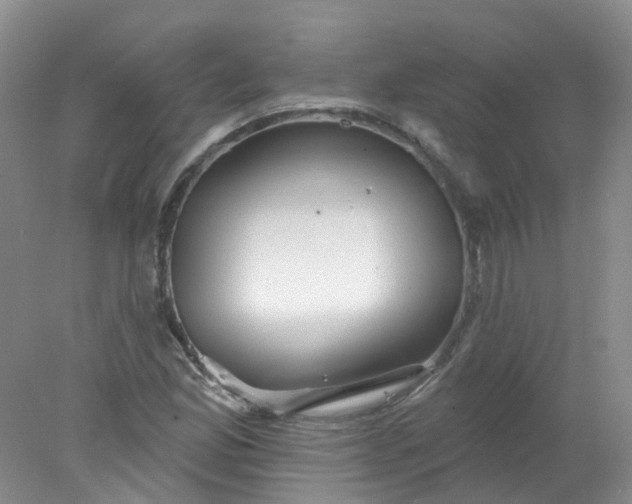 X0000078311165200611172207