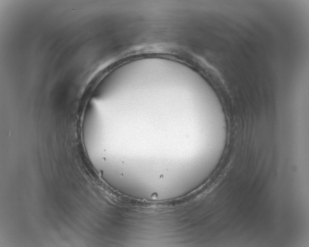 X0000078311166200611172207