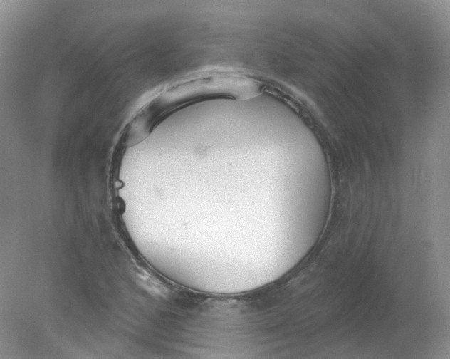 X0000078311168200611172207