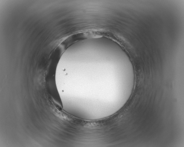 X0000078311169200611172207