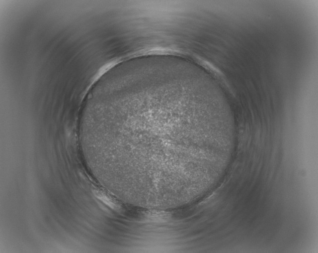 X0000078311170200611172207