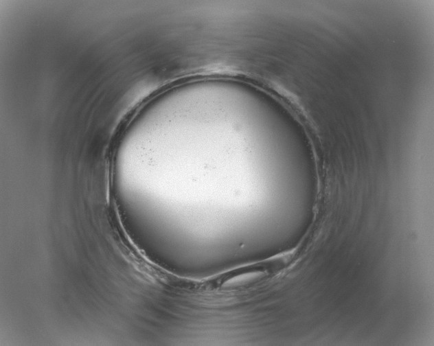 X0000078311171200611172207