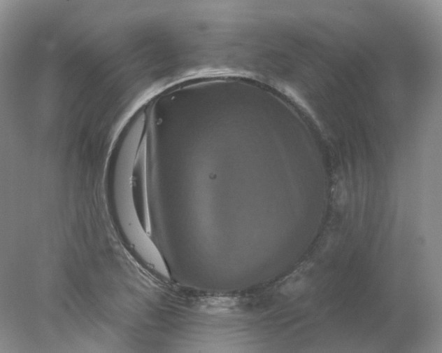 X0000078311173200611172207