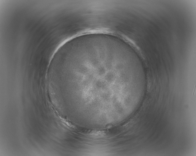 X0000078311174200611172207