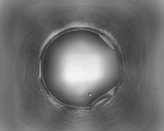 X0000078311175200611172207