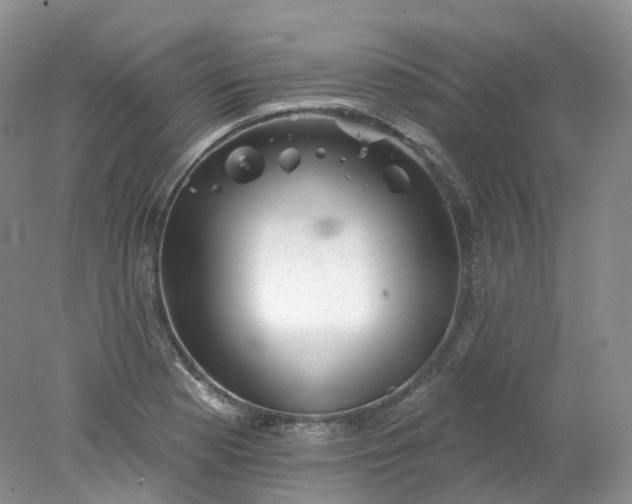 X0000078311177200611172207