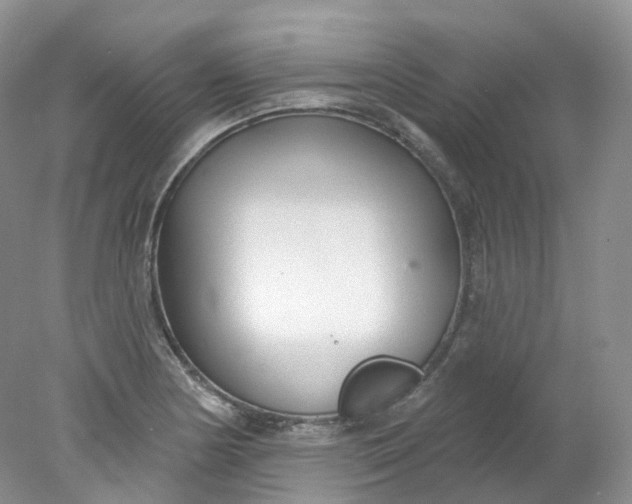 X0000078311178200611172207