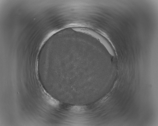 X0000078311179200611172207