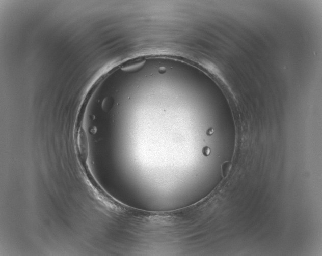 X0000078311181200611172207