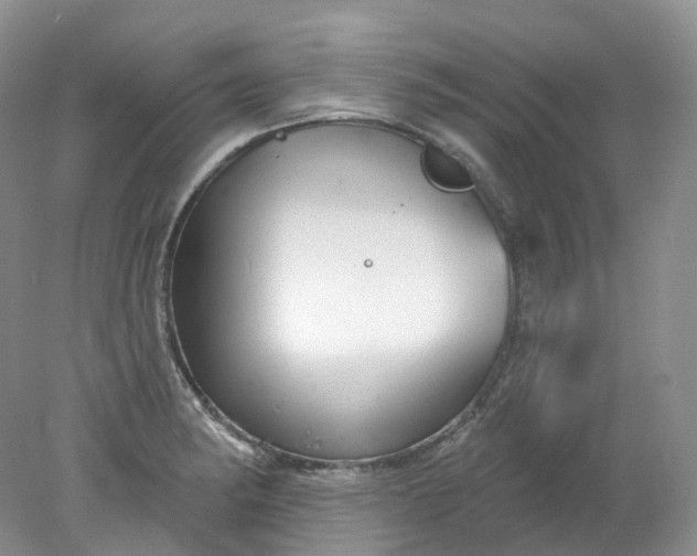 X0000078311182200611172207